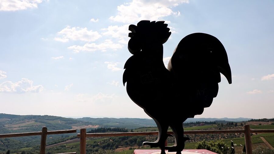 From Florence: Chianti Tour with Two Wine and Food Tastings - Who will enjoy this tour most