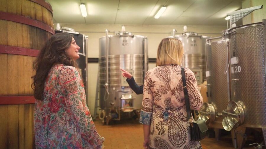 From Florence: Chianti Tour with Two Wine and Food Tastings - Booking advice for a smooth day