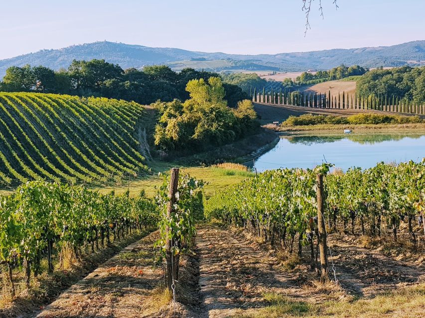 From Florence: Chianti Wine Tastings at Sunset Day Trip - Key points at a glance