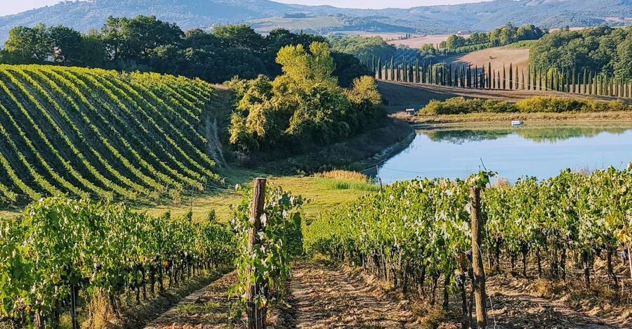From Florence: Chianti Wine Tastings at Sunset Day Trip - Why this Chianti trip works so well from Florence