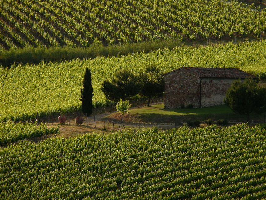 From Florence: Chianti Wine Tastings at Sunset Day Trip - Two family estates, two different wine experiences