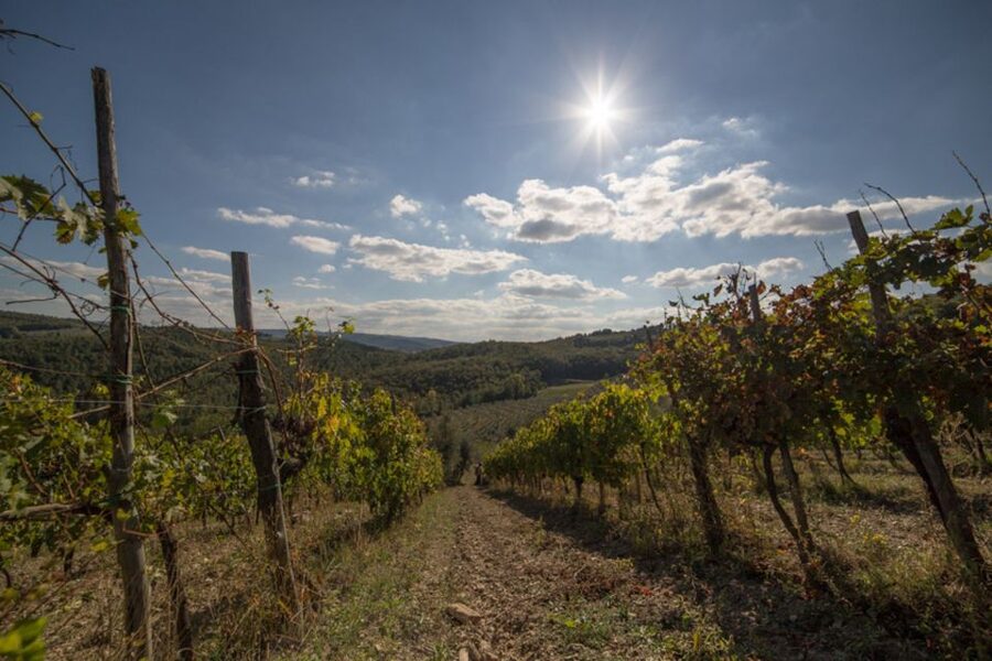 From Florence: Chianti Wine Tastings at Sunset Day Trip - Greve in Chianti and the first countryside views