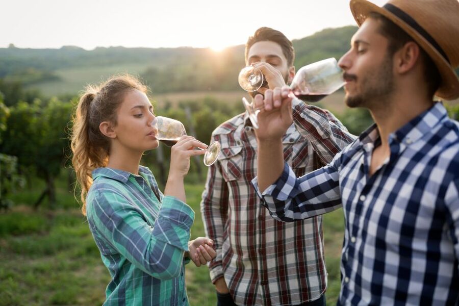 From Florence: Chianti Wine Tour with Tasting - FAQ