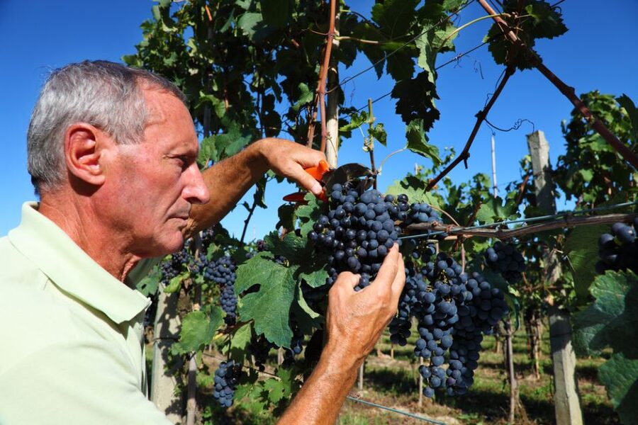 From Florence: Chianti Wine Tour with Tasting - The coach, timing, and practical details