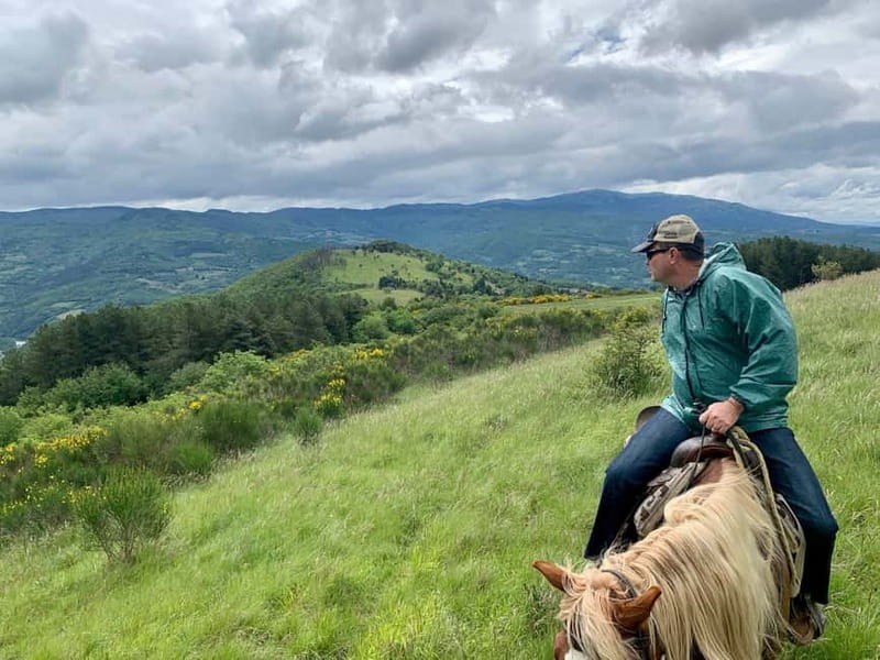 From Florence: Horse Ride and Wine Tour at Estate with Lunch - Is $377 a fair price?