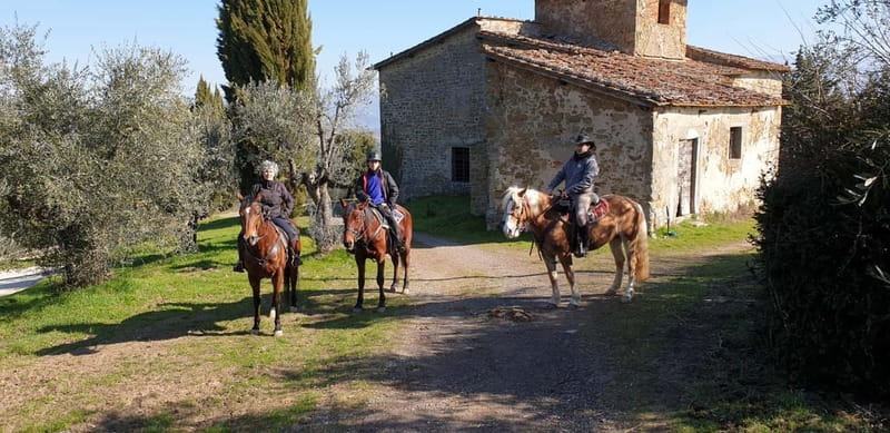 From Florence: Horse Ride and Wine Tour at Estate with Lunch - Who will enjoy this day most?