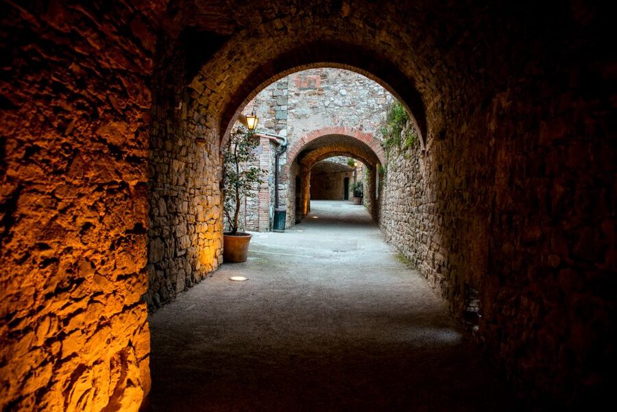 From Florence: Private Chianti Hills Tour with Tasting - Guides, drivers, and the feel of the day