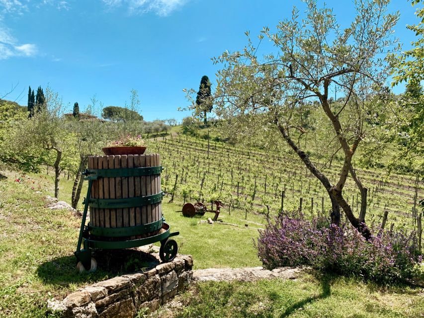 From Florence: Private Chianti Hills Tour with Tasting - Who should book this Chianti outing?