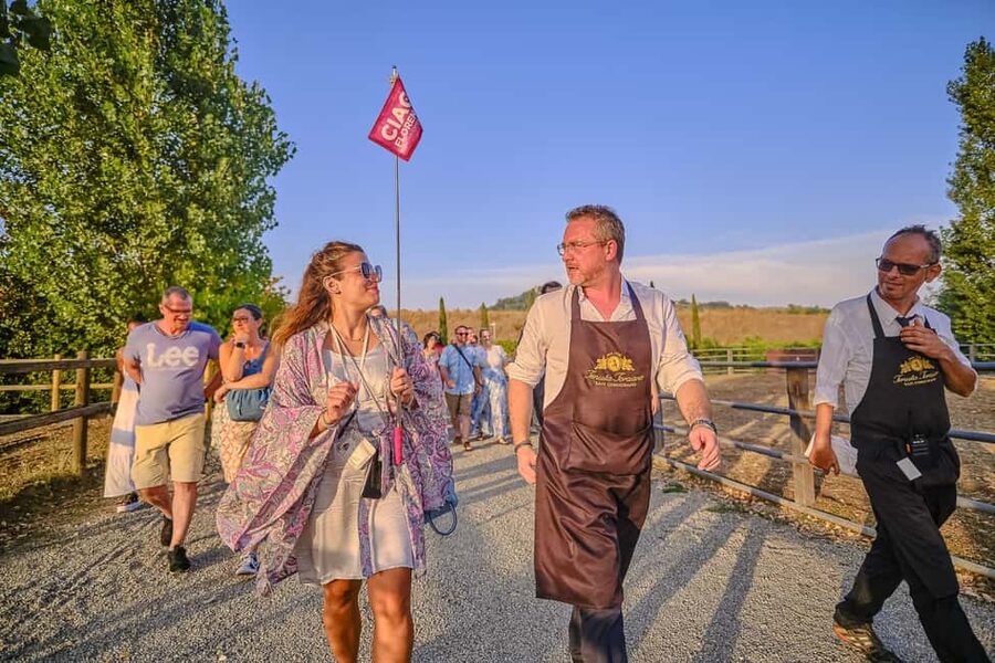 From Florence: Siena and Chianti Wine Tour with Dinner - Why this Florence-to-Chianti tour works