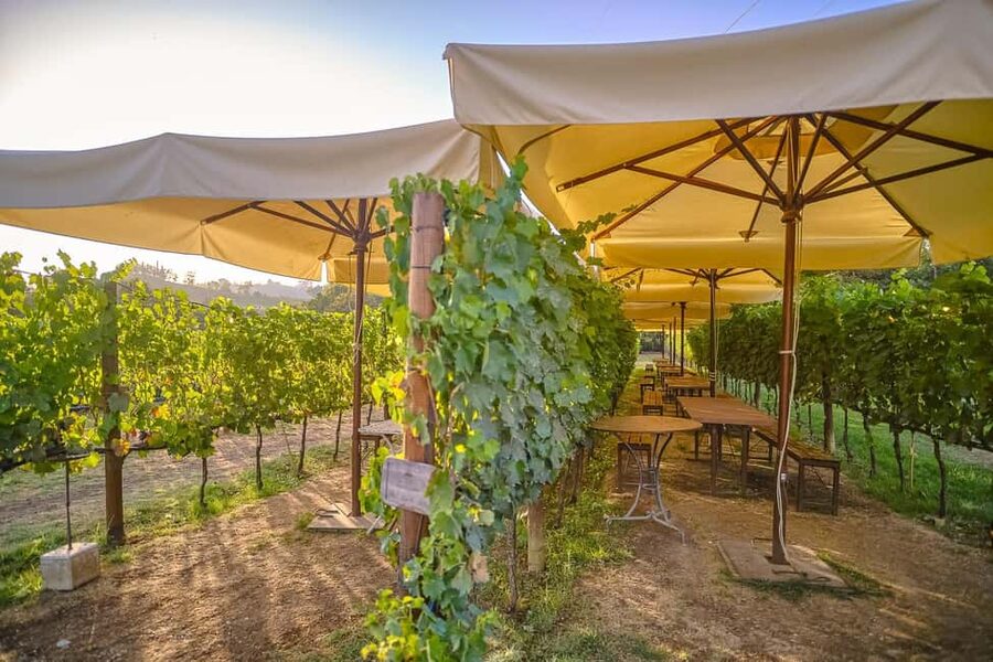 From Florence: Siena and Chianti Wine Tour with Dinner - The first Chianti winery stop