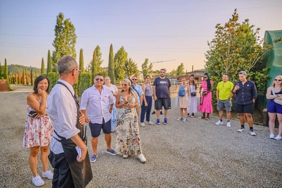From Florence: Siena and Chianti Wine Tour with Dinner - How the $105 price holds up
