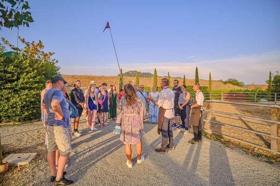 From Florence: Siena and Chianti Wine Tour with Dinner - Who should book this outing