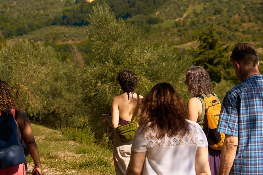 From Florence: Small Group Chianti Wine Tour with Lunch - Key points to know before you book