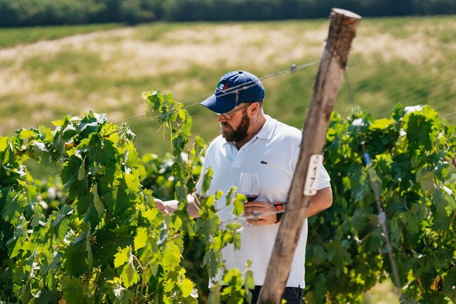 From Florence: Small Group Wine Tasting Tour to Tuscany - Why this half-day tour works from Florence