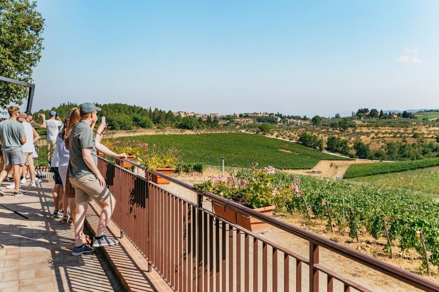 From Florence: Small Group Wine Tasting Tour to Tuscany - Group size, guides, and the social side