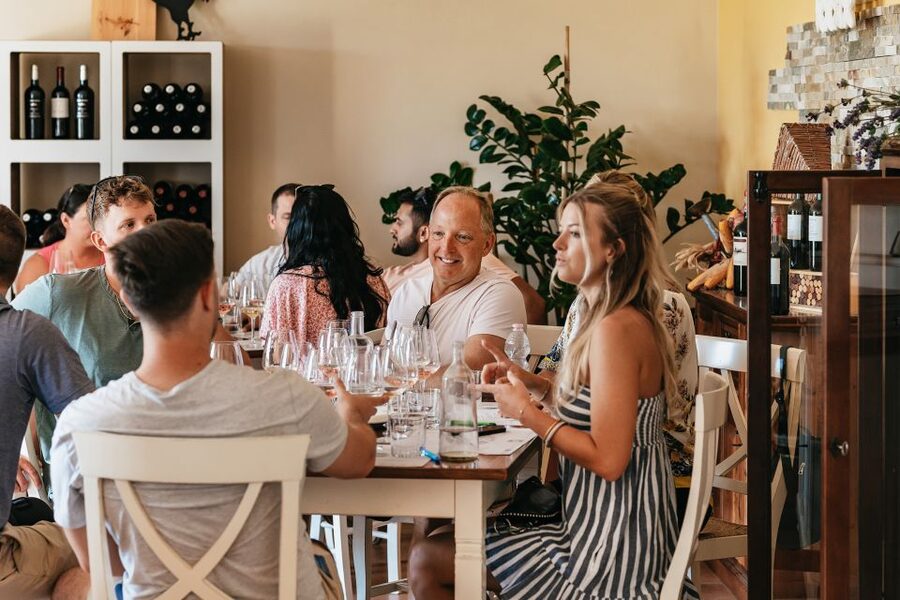 From Florence: Small Group Wine Tasting Tour to Tuscany - Who should book this experience
