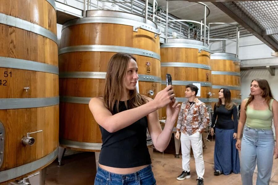 From Florence: Tuscany, Siena, San Gimignano & Winery Lunch - Transport, group size, and pace