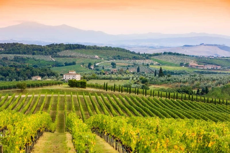 From Florence: Tuscany Wine & Food Tour with Guide - Who should book this tour?