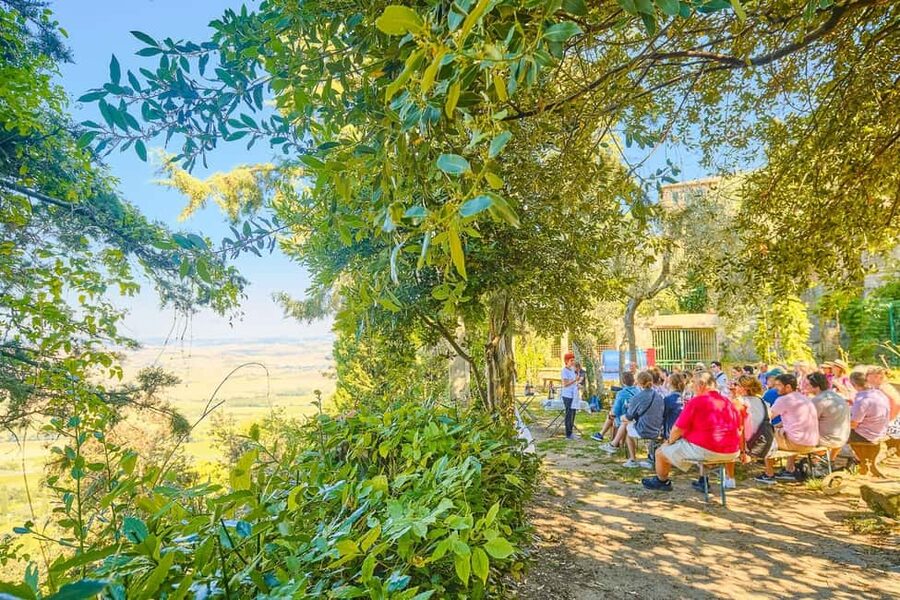 From Florence: Val D'Orcia Tour with Wine Tasting - Who should book this Val d’Orcia excursion?