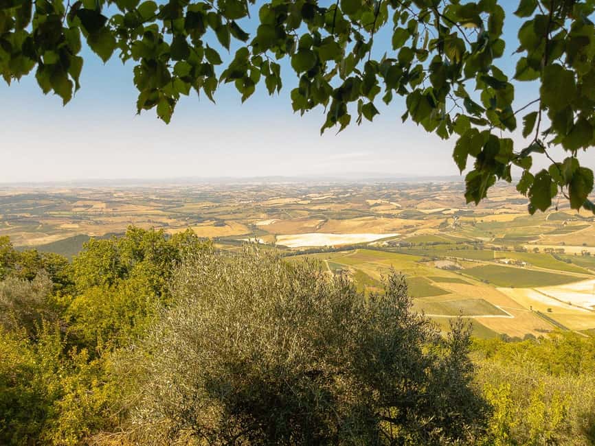 From Florence: Val D'Orcia Tour with Wine Tasting - Montepulciano, underground cellars, and Vino Nobile
