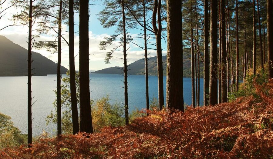 From Glasgow: Whisky and Loch Lomond Tour with Admissions - FAQ