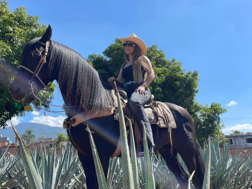 From Guadalajara: Tequila Town and Cantaritos El Guero - Why this Guadalajara day trip works