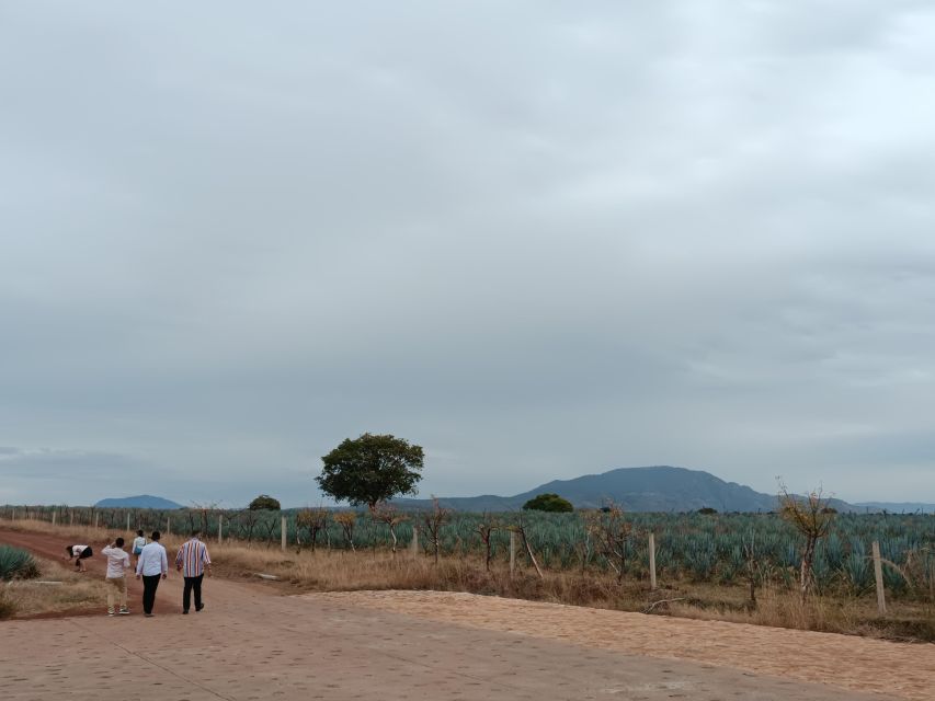 From Guadalajara: Tequila Town and Cantaritos El Guero - Finishing with cantaritos in Amatitán
