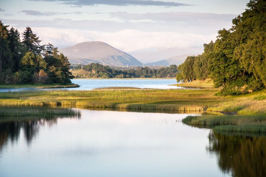 From Inverness: Cairngorms National Park and Whisky Tour - Key points at a glance