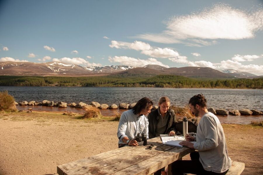 From Inverness: Cairngorms National Park and Whisky Tour - Why this Cairngorms day trip works