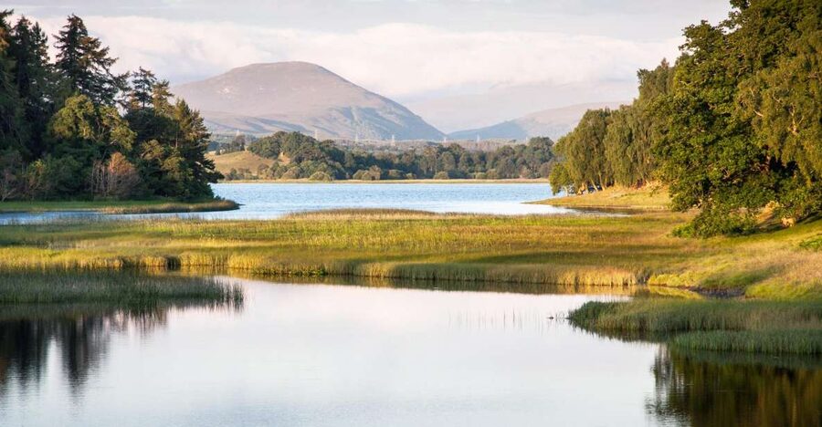 From Inverness: Cairngorms National Park and Whisky Tour - Carrbridge and the Old Packhorse Bridge