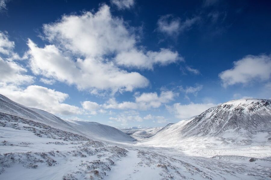 From Inverness: Cairngorms National Park and Whisky Tour - Leaving Inverness for Dava Moor