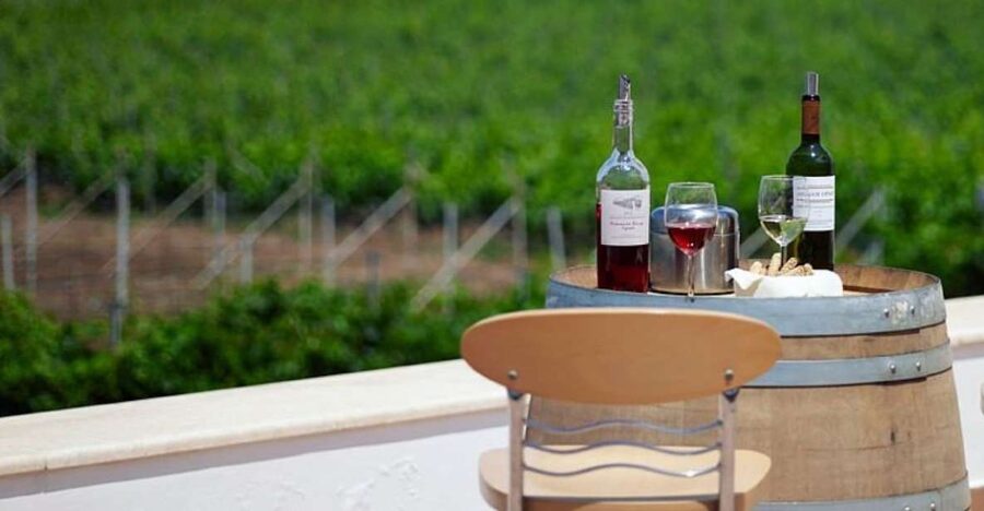 From Kos: Tour of 2 Wineries with Wine Tasting & Small Bites - Key points to know before booking