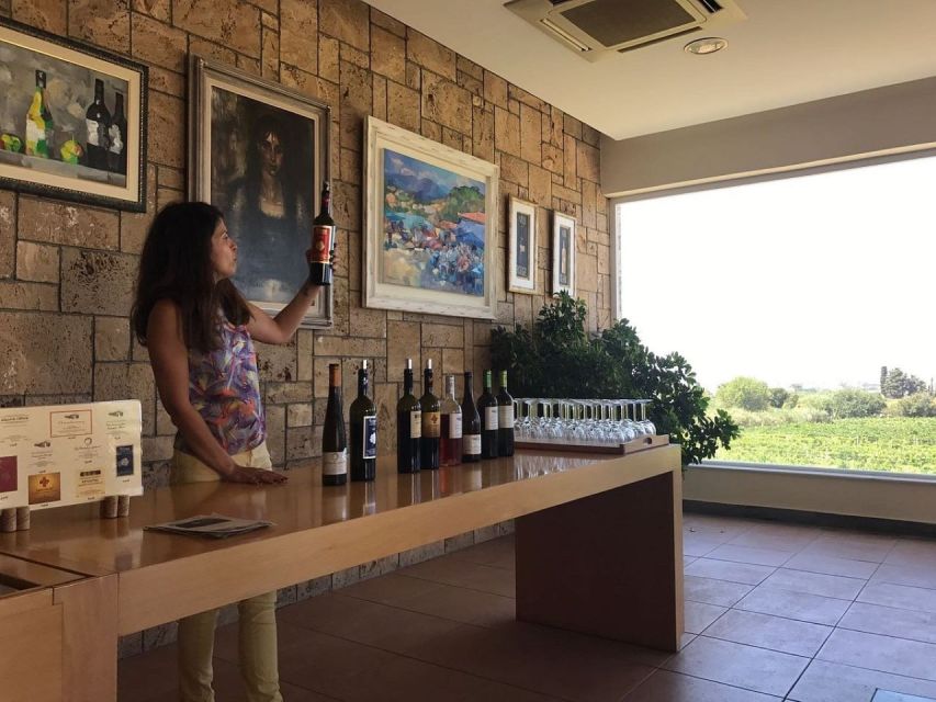 From Kos: Tour of 2 Wineries with Wine Tasting & Small Bites - Should you book this Kos winery tour?