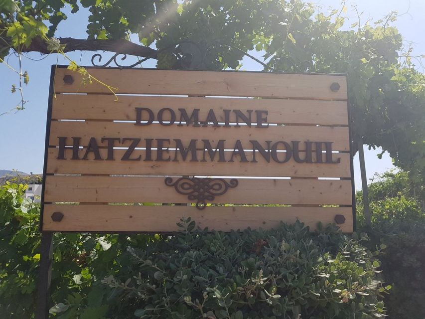From Kos: Tour of 2 Wineries with Wine Tasting & Small Bites - Petra Marinou: a family winery with three generations behind it