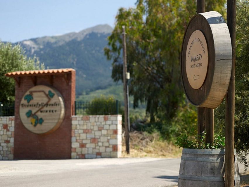 From Kos: Tour of 2 Wineries with Wine Tasting & Small Bites - The good and the less polished parts