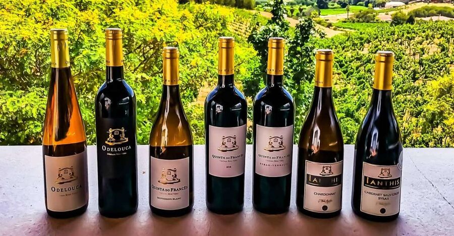 From Lagos: Small-Group 4-Hour Wine Tasting Tour - Why this Lagos wine tour works so well