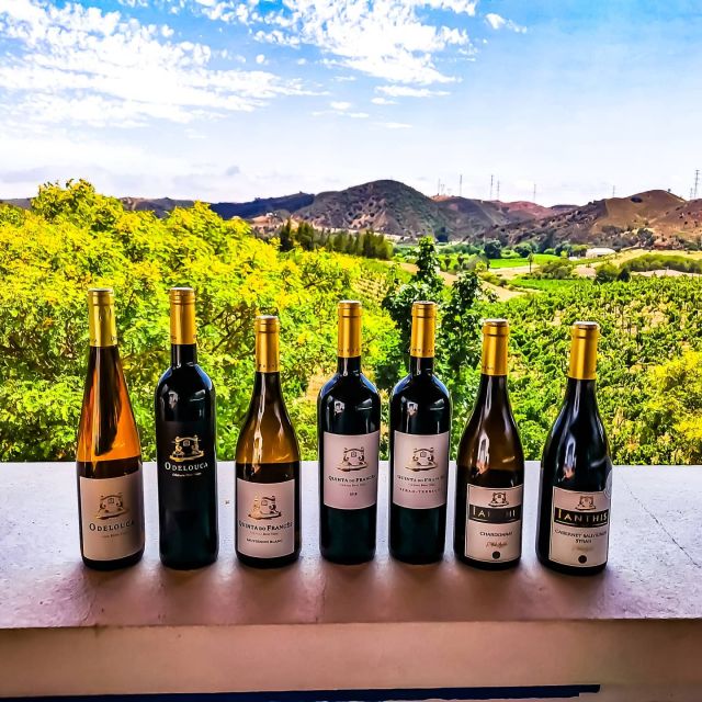From Lagos: Small-Group 4-Hour Wine Tasting Tour - Forty-five minutes in historic Silves