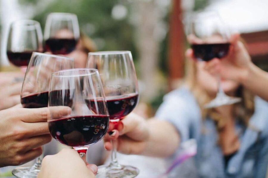 From Lagos: Small-Group 4-Hour Wine Tasting Tour - Leaving Lagos in a group of eight