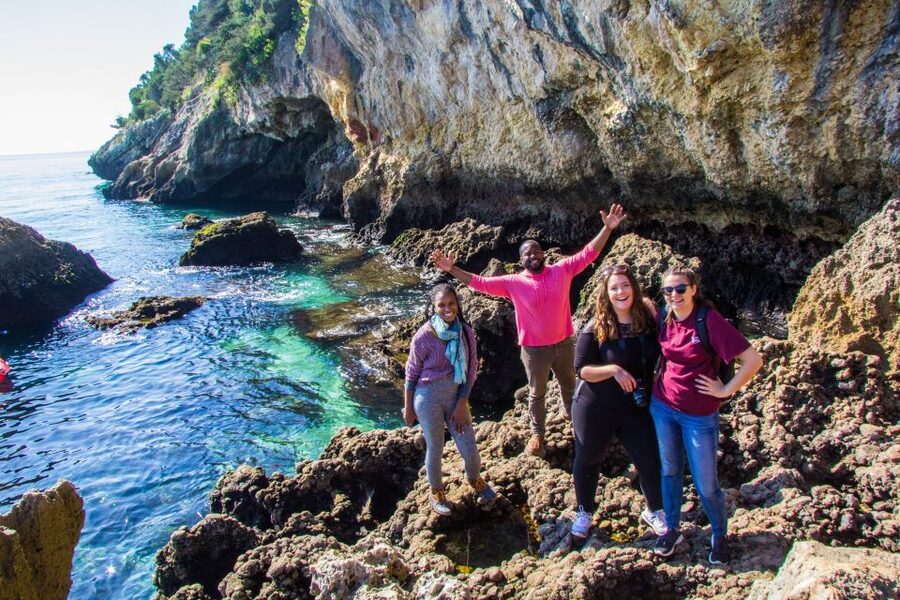 From Lisbon: Arrábida Day Tour & Wine Tasting - Finishing with Moscatel at Farm Catralvos