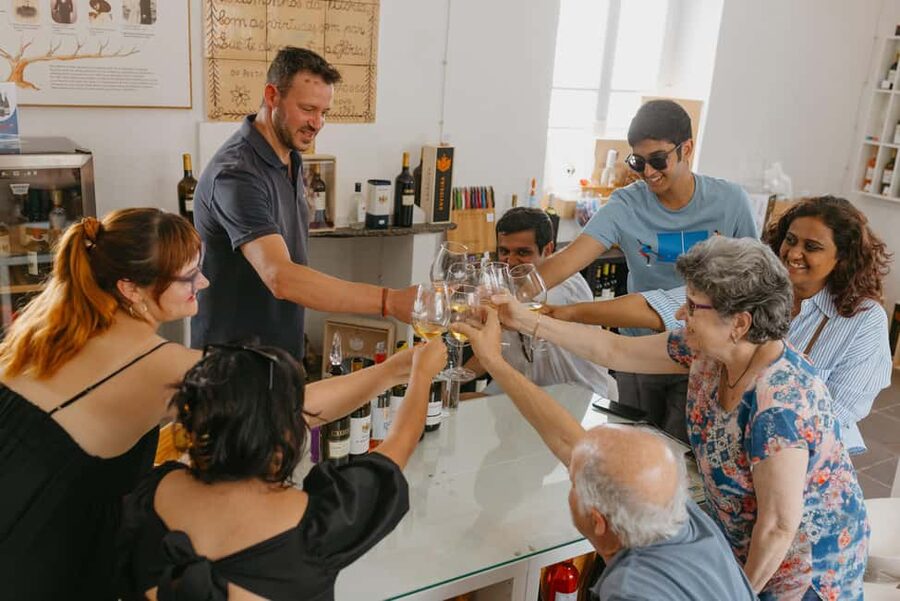 From Lisbon: Évora and Monsaraz Day Tour with Wine Tasting - Guides and group size