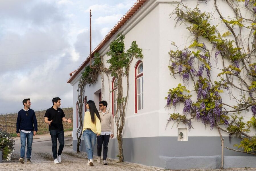 From Lisbon: Sintra & Pena Palace Day Trip with Wine Tasting - Key points at a glance