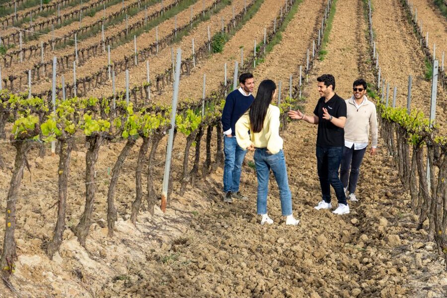 From Lisbon: Sintra & Pena Palace Day Trip with Wine Tasting - Sintra and the gardens around Pena Palace