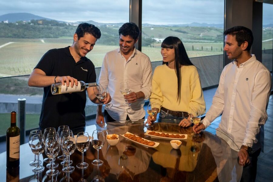 From Lisbon: Sintra & Pena Palace Day Trip with Wine Tasting - Guides make the difference