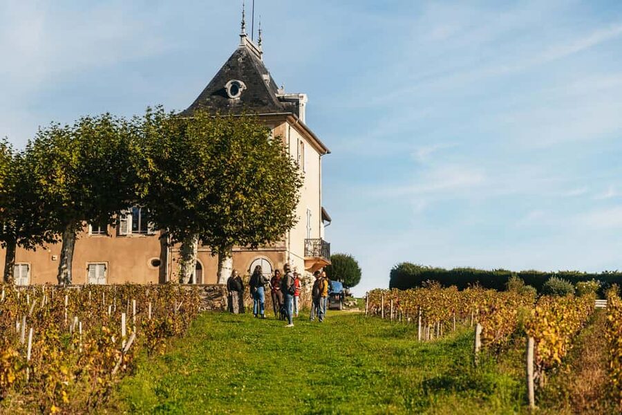 From Lyon: Beaujolais Wine Tour with Tastings - First winery: meeting the family behind the bottle