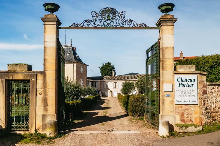 From Lyon: Beaujolais Wine Tour with Tastings - The second winery and the value of contrast