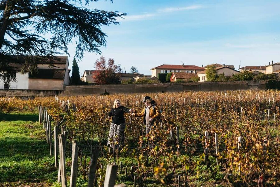 From Lyon: Beaujolais Wine Tour with Tastings - Timing, comfort, and what is not included