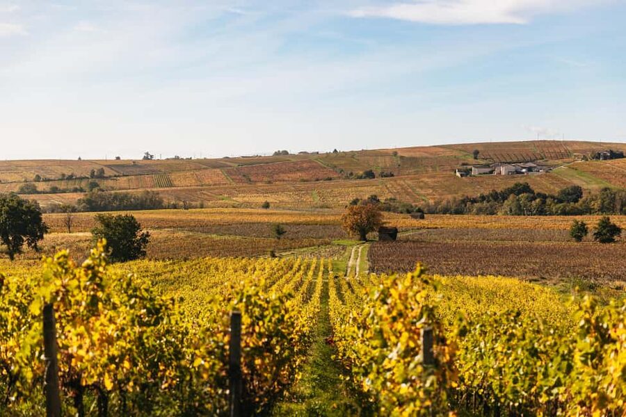 From Lyon: Beaujolais Wine Tour with Tastings - The route into Beaujolais wine country