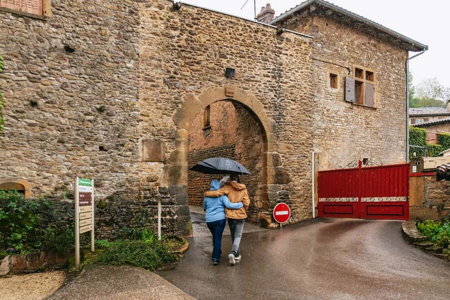 From Lyon: Golden Stones Beaujolais Wine Tasting Tour - Should you book the Golden Stones Beaujolais tour?