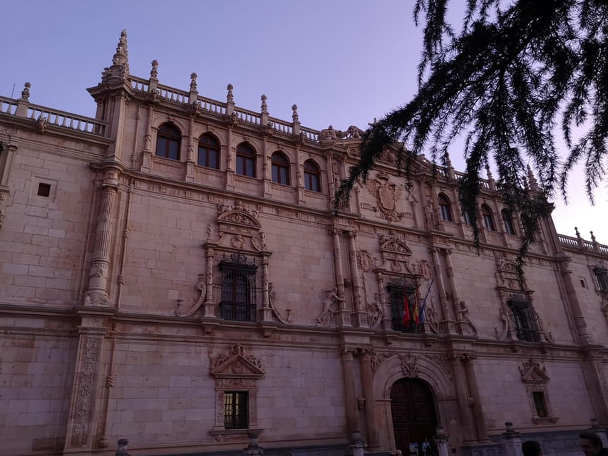 From Madrid: Alcalá de Henares, Winery Tour & Wine Tasting - From university streets to a working winery
