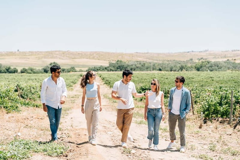 From Madrid: Toledo Guided Tour & Winery Visit with Tasting - Booking advice and final verdict